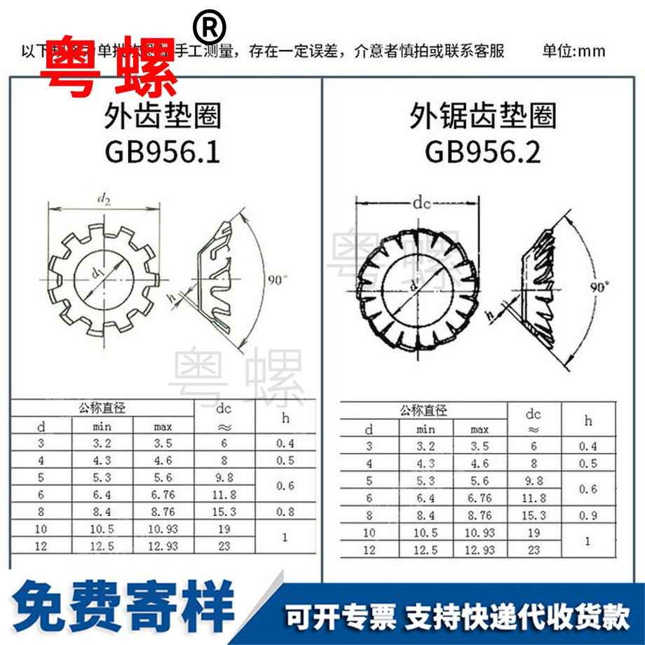 錐形鋸齒酉陽鎖緊墊圈