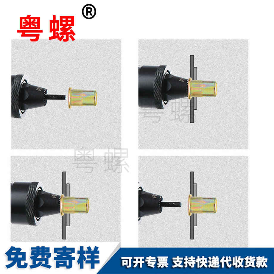 伊犁平頭豎紋伊犁拉鉚螺母